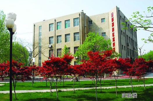 淄博市工業學校開設哪些計算機課程？